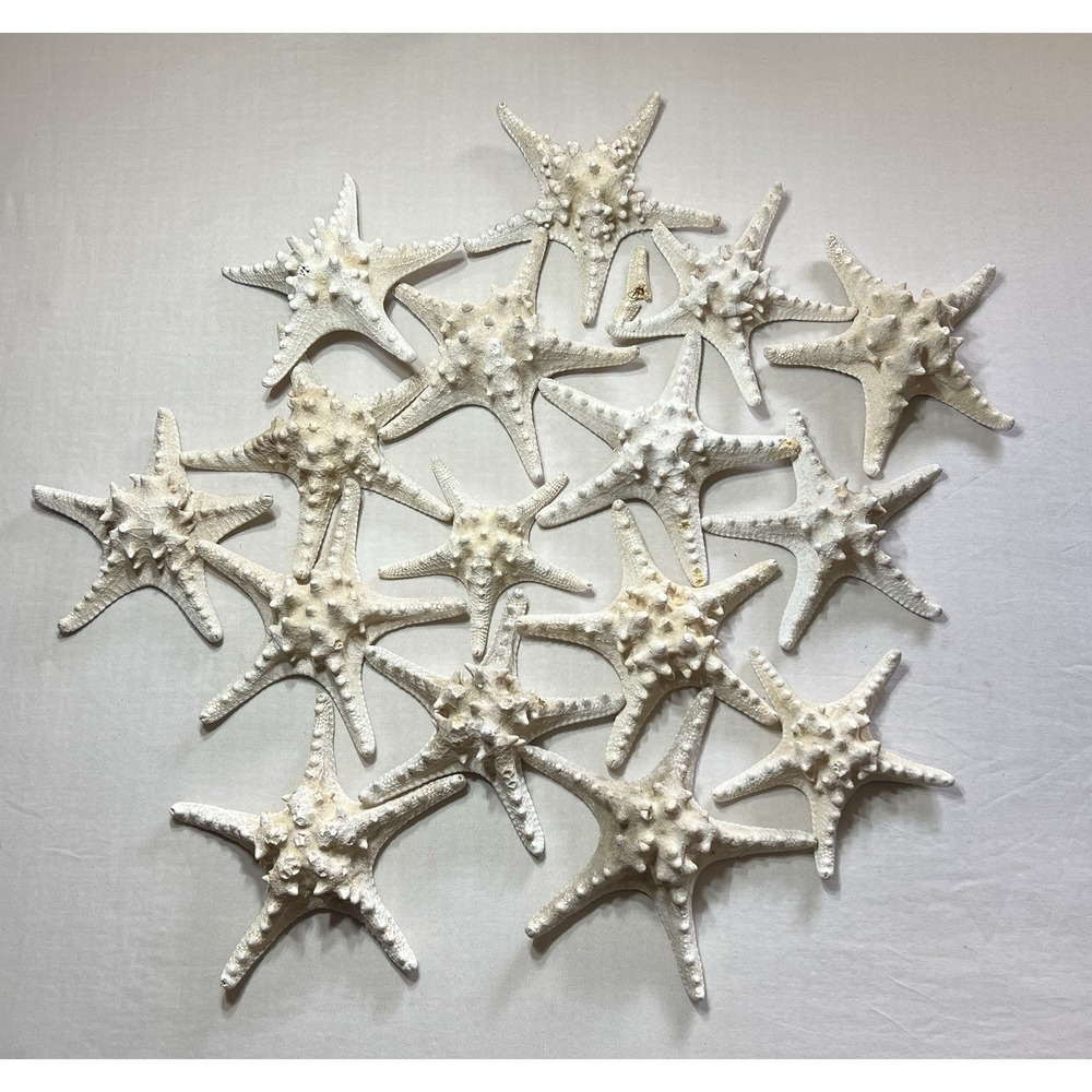 Starfish Home Decor with Different Sizes Beach Decorations Craft